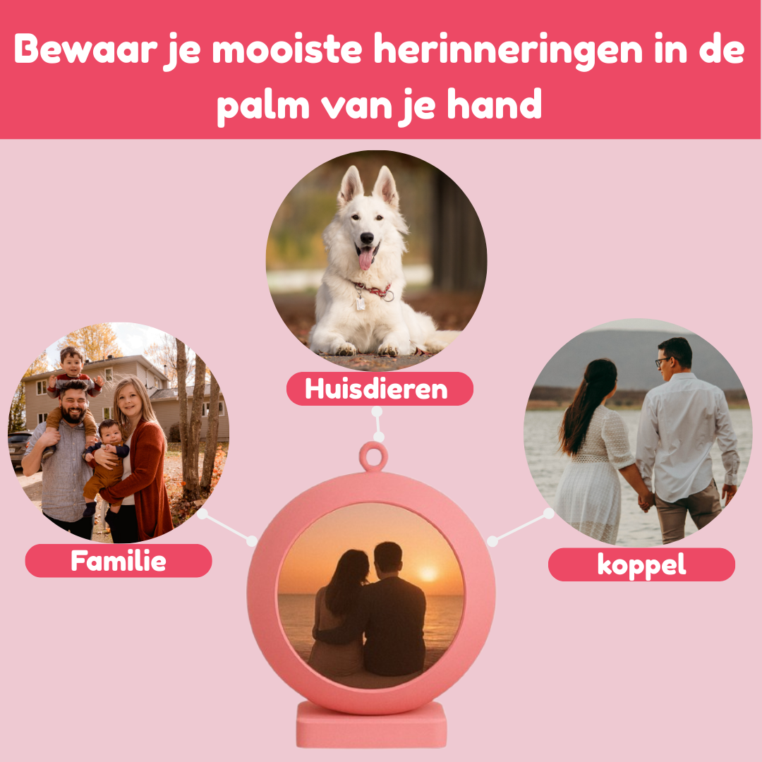 PAWMORY